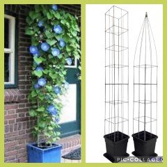 Draadrekken Plantensteunen klimplantsteunen plantenrekken tuinrek