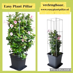 Draadrekken Plantensteunen klimplantsteunen plantenrekken tuinrek