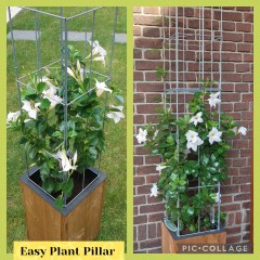 Draadrekken Plantensteunen klimplantsteunen plantenrekken tuinrek