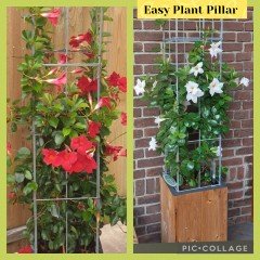 Draadrekken Plantensteunen klimplantsteunen plantenrekken tuinrek