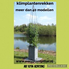 Draadrekken Plantensteunen klimplantsteunen plantenrekken tuinrek