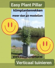 Draadrekken Plantensteunen klimplantsteunen plantenrekken tuinrek