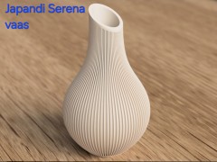 Moderne design vazen