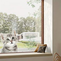 Schattige grijze kat als raamsticker  Raamfolie