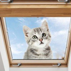 Schattige grijze kat als raamsticker  Raamfolie