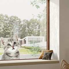 Schattige grijze kat als raamsticker  Raamfolie