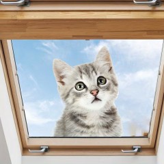 Schattige grijze kat als raamsticker  Raamfolie