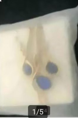 Casual Blue Green Gold diamond ketting en oorbellen Nieuw     