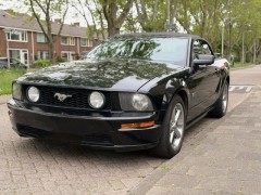 Ford Mustang te huur met Chauffeur Bruiloft   Speciale gelegenheid