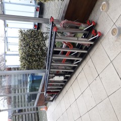 trapladder altrex