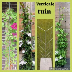 VERTICAAL TUINIEREN MET KLIMPLANTREKKEN
