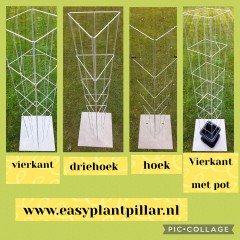 VERTICAAL TUINIEREN MET KLIMPLANTREKKEN