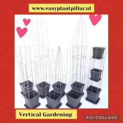VERTICAAL TUINIEREN MET KLIMPLANTREKKEN
