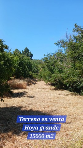 Agricultural land for Sale