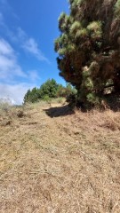 Agricultural land for Sale
