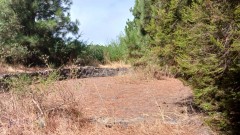 Agricultural land for Sale