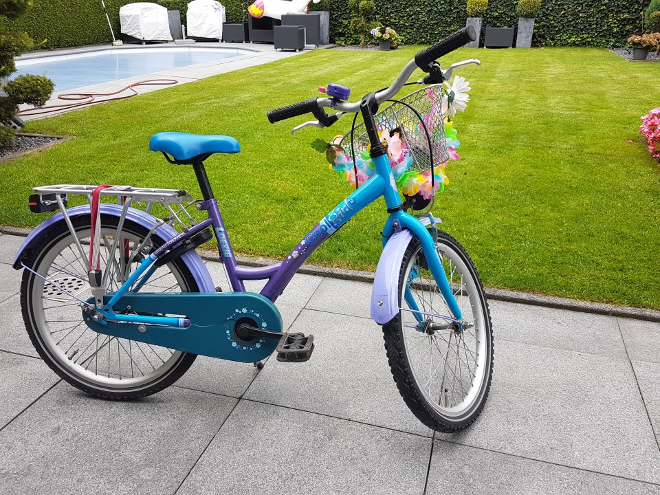 wees gegroet exotisch Afsnijden Kinderfiets Loeki 20 inch wielen in zeer g - marketplaceonline.nl