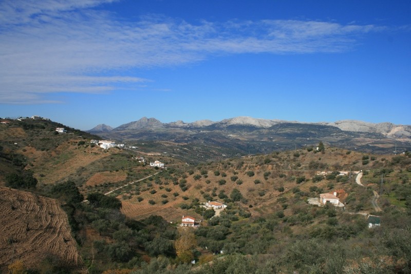 CASA TONI, COLMENAR / MALAGA