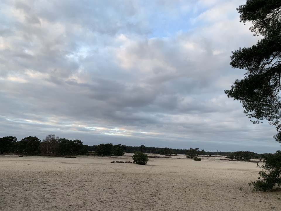 Vrijstaand huis of woonboerderij gezocht met land voor paarden