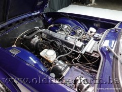 Triumph TR6 Blue '69