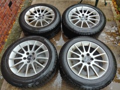 Volvo Castula velgen met 215 55 16 Michelin winterbanden  