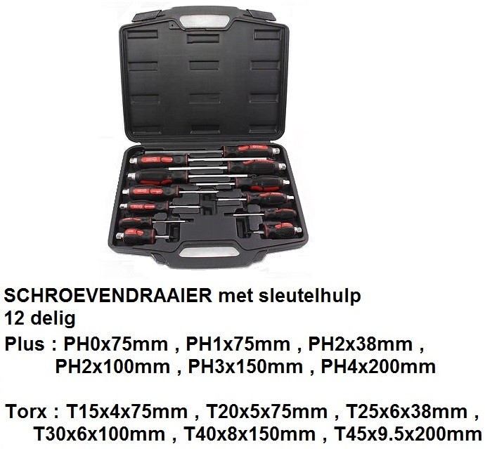 Nieuwe SCHROEVENDRAAIERSET  Torx Kruis 12 delig  met sleutelhulp