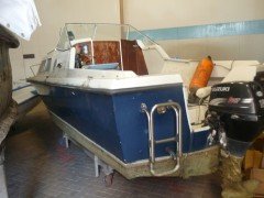 Te koop aangeboden  Kajuitboot met motor en trailer