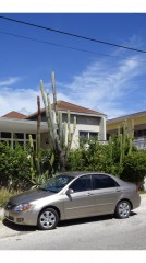 Bed and Breakfast Curoase in Curacao