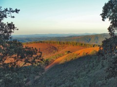 SPANJE: SW ANDALUCIA - een eenvoudig huis met bostuin, off-grid, in ee