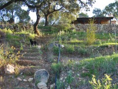 SPANJE: SW ANDALUCIA - een eenvoudig huis met bostuin, off-grid, in ee