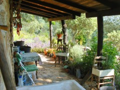 SPANJE: SW ANDALUCIA - een eenvoudig huis met bostuin, off-grid, in ee