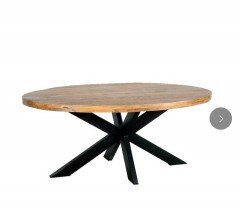 industri&euml;le Mangohouten Meubels